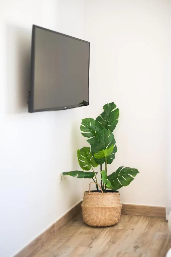 Magec Santa Cruz Apartment